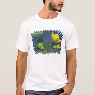 NA, USA, Michigan, Rochester Hills. Sumpf T-Shirt