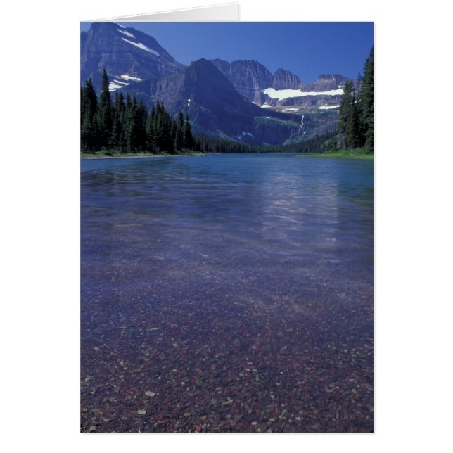 NA, USA, Montana, Glacier National PArk. (Vorne)