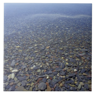 NA, USA, Montana, Glacier NP Rocks in Lake Fliese
