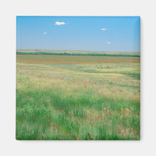 NA, USA, NE. Graslandschaften bei Ogallala mit Magnet