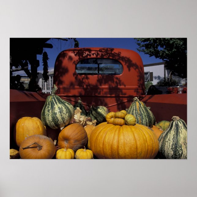 NA, USA, New Mexico, Taos. Chile steht. Poster (Vorne)