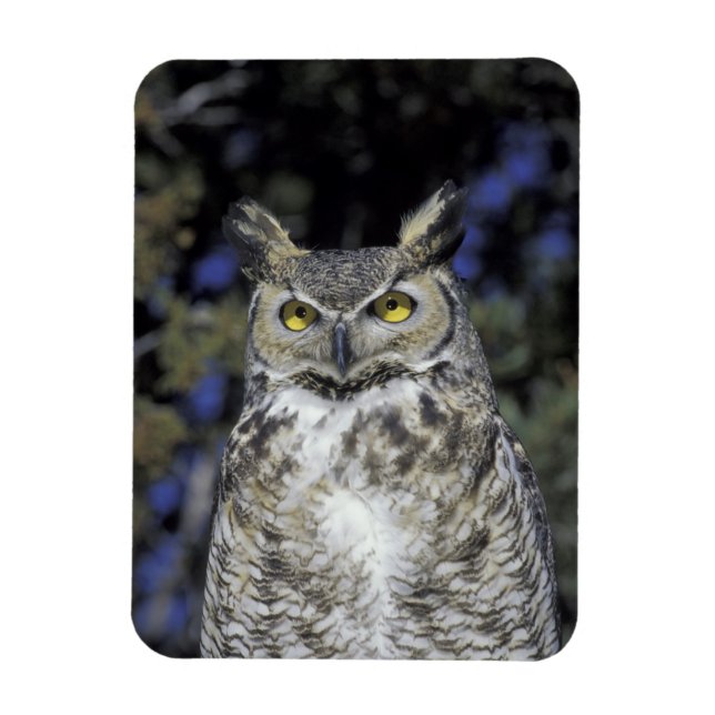 NA, USA, New Mexico, Wildlife West Nature Park Magnet (Vertikal)