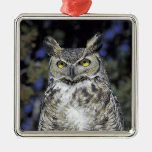 NA, USA, New Mexico, Wildlife West Nature Park Silbernes Ornament