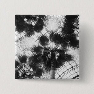 NA, USA, New York, New York City. Palmen in Button