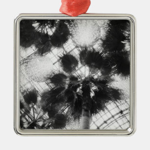 NA, USA, New York, New York City. Palmen in Silbernes Ornament