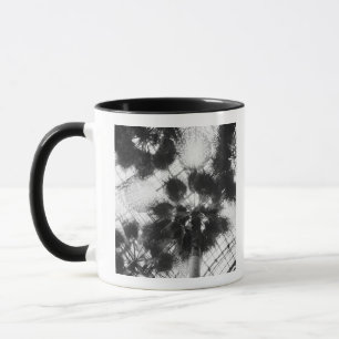 NA, USA, New York, New York City. Palmen in Tasse