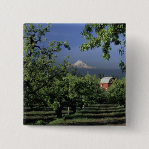 NA, USA, Oregon, bei Hood River Mt. Hood mit Button