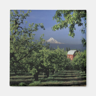 NA, USA, Oregon, bei Hood River Mt. Hood mit Magnet