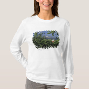 NA, USA, Oregon, bei Hood River Mt. Hood mit T-Shirt