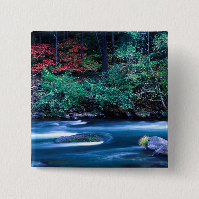 NA, USA, Oregon, Fall Foliage on North Umpquah Button (Vorderseite)