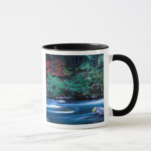 NA, USA, Oregon, Herbstlaub am North Umpquah Tasse