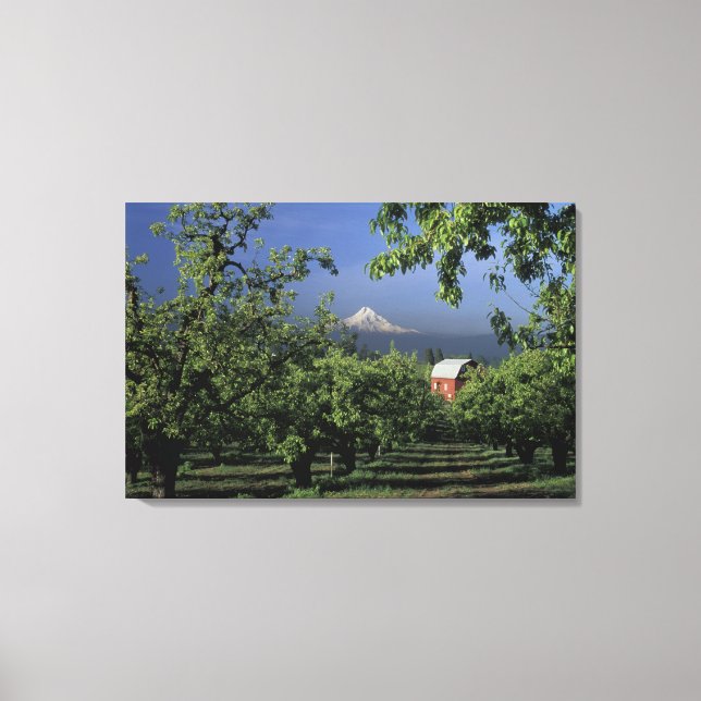 NA, USA, Oregon, nähe Hood River Hood with Leinwanddruck (Vorderseite)