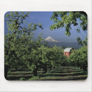 Na, USA, Oregon, nahe Hood River Mt. Haube mit Mousepad