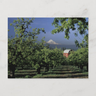Na, USA, Oregon, nahe Hood River Mt. Haube mit Postkarte