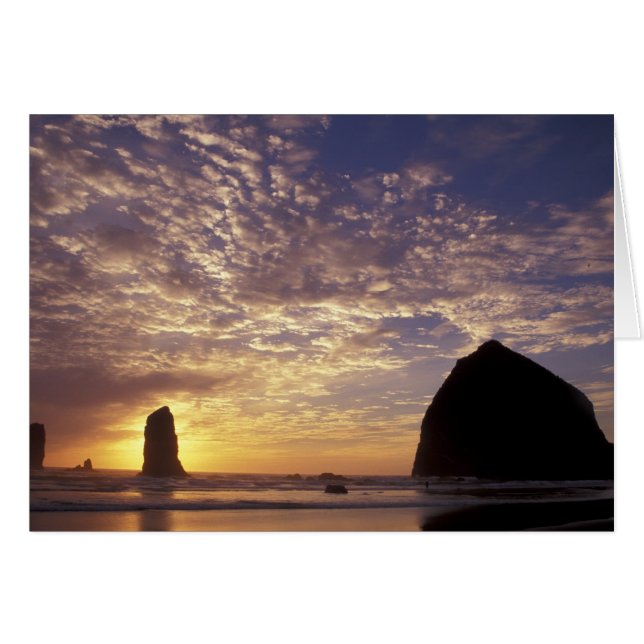 NA, USA, Oregon, Oregon Coast, Canon Beach with (Vorderseite (Horizontal))