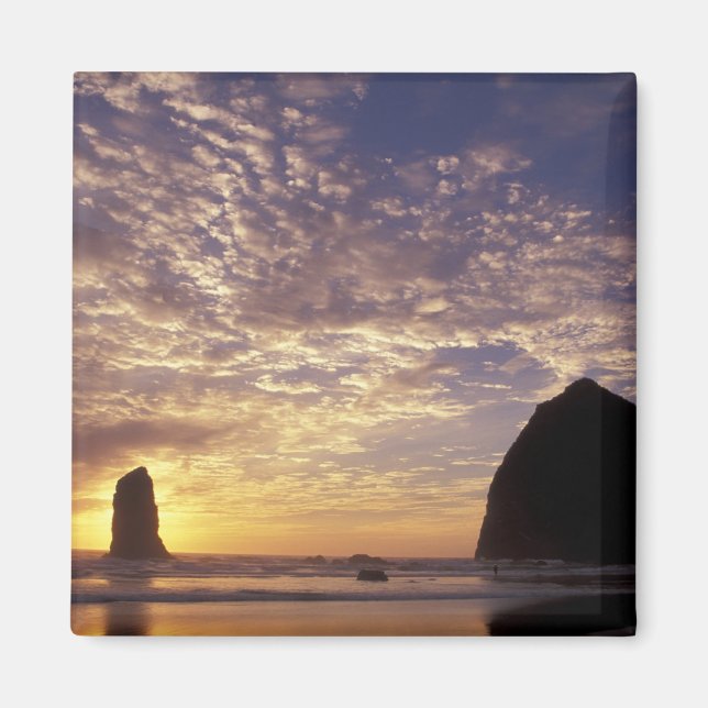 NA, USA, Oregon, Oregon Coast, Canon Beach with Magnet (Vorne)