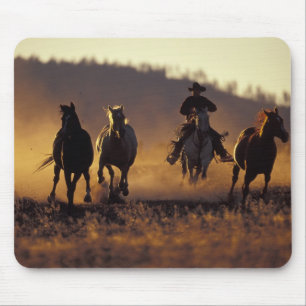 Na, USA, Oregon, Seneca, Ponderosa Ranch, Cowboy 2 Mousepad