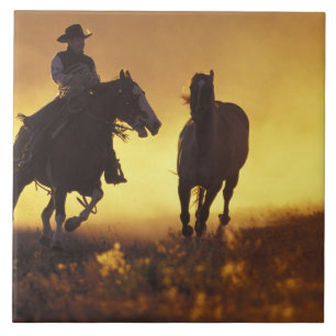 NA, USA, Oregon, Seneca, Ponderosa Ranch, Cowboy 3 Fliese