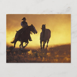 NA, USA, Oregon, Seneca, Ponderosa Ranch, Cowboy 3 Postkarte