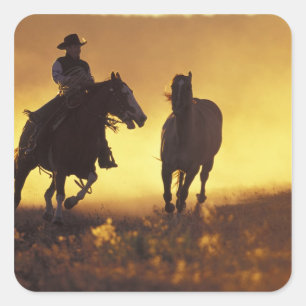 NA, USA, Oregon, Seneca, Ponderosa Ranch, Cowboy 3 Quadratischer Aufkleber