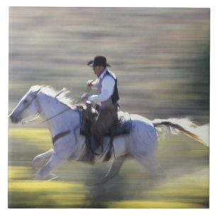 Na, USA, Oregon, Seneca, Ponderosa Ranch, Cowboy Fliese