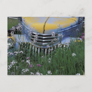 NA, USA, Ost-Washington, Altlastwagen mit Postkarte