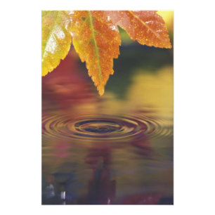 NA, USA, Pazifischer Nordwesten Fotodruck