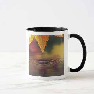 NA, USA, Pazifischer Nordwesten Tasse