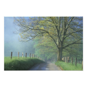NA, USA, Tennessee, Cades Cove, Great Smoky Fotodruck