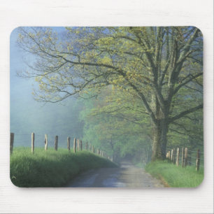 NA, USA, Tennessee, Cades Cove, Great Smoky Mousepad