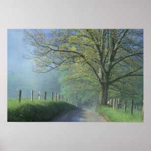 NA, USA, Tennessee, Cades Cove, Great Smoky Poster