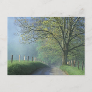 NA, USA, Tennessee, Cades Cove, Great Smoky Postkarte
