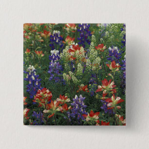 NA, USA, Texas, bei Marble Falls, Pinsel Button
