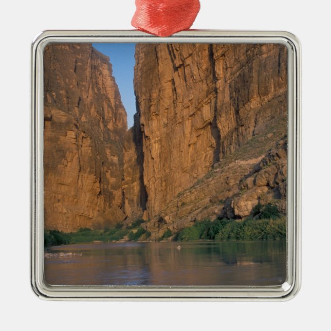 NA, USA, Texas, Big Bend National Park.Rio Silbernes Ornament (Vorne)