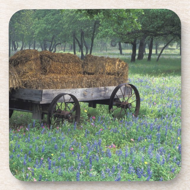 Na, USA, Texas, östlich Devine, alter Lastwagen Untersetzer (Vorderseite)