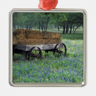 NA, USA, Texas, östlich von Devine, Alte Planwagen Ornament Aus Metall
