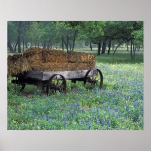NA, USA, Texas, östlich von Devine, Alter Wagen in Poster