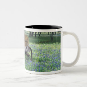 NA, USA, Texas, östlich von Devine, Alter Wagen in Zweifarbige Tasse