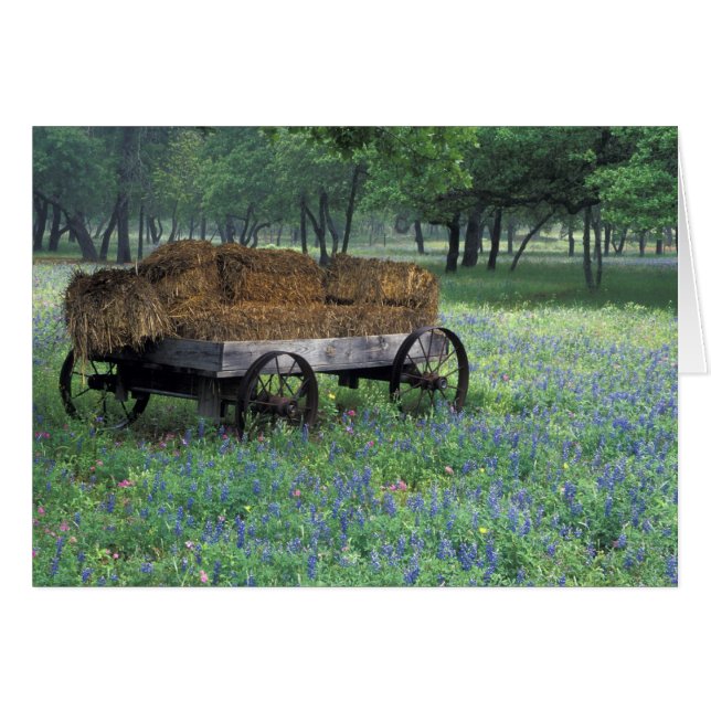 NA, USA, Texas, östlich von Devine, Old wagon in (Vorderseite (Horizontal))