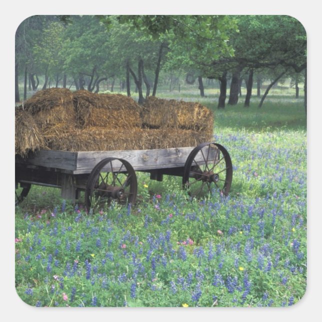 NA, USA, Texas, östlich von Devine, Old wagon in Quadratischer Aufkleber (Vorderseite)