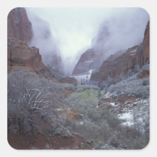 NA, USA, Utah, Zion NP, Spring Snowsturm, Quadratischer Aufkleber