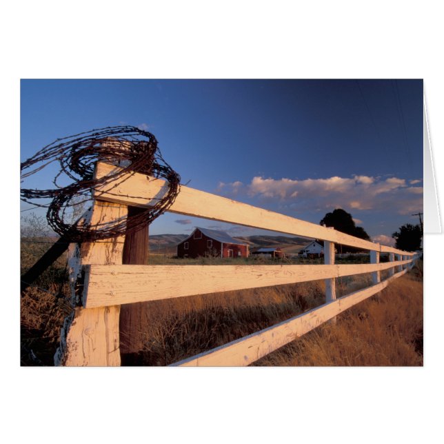 NA, USA, Washington, bei Walla Walla, Zaun, (Vorderseite (Horizontal))