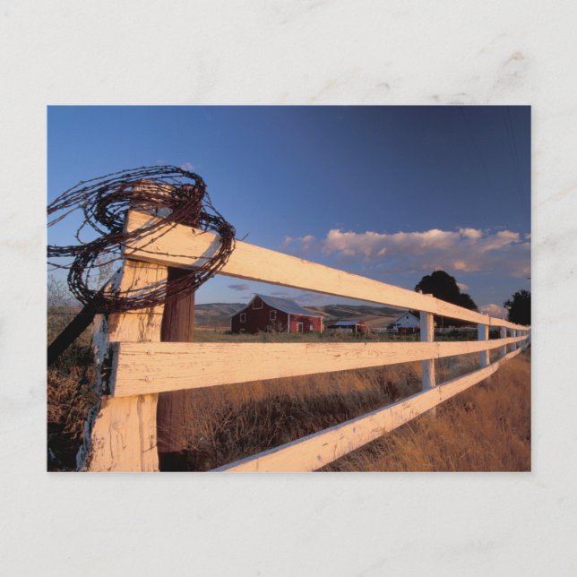 NA, USA, Washington, bei Walla Walla, Zaun, Postkarte (Vorderseite)