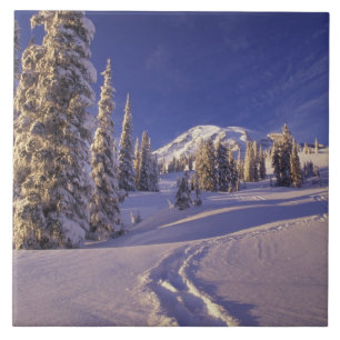 NA, USA, Washington, Mt. Rainier NP, Snowshoe Fliese