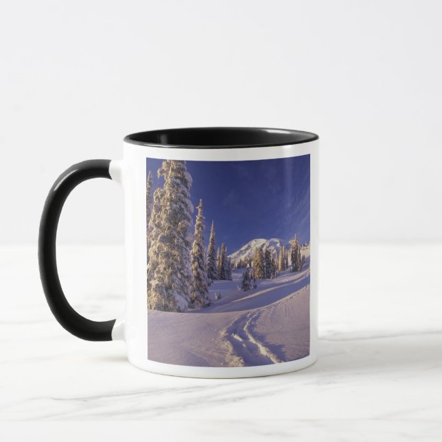 NA, USA, Washington, Mt. Rainier NP, Snowshoe Tasse (Links)