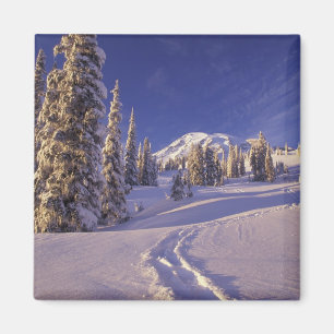 NA, USA, Washington, Mt. Rainier NP, Snowuh Magnet