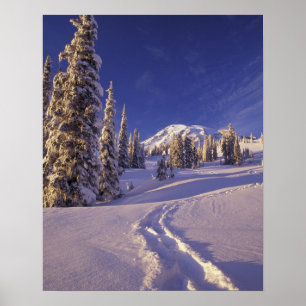 NA, USA, Washington, Mt. Rainier NP, Snowuh Poster