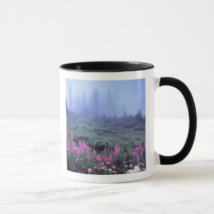 NA, USA, Washington, Neblige alpine Wiese, Mt. Tasse