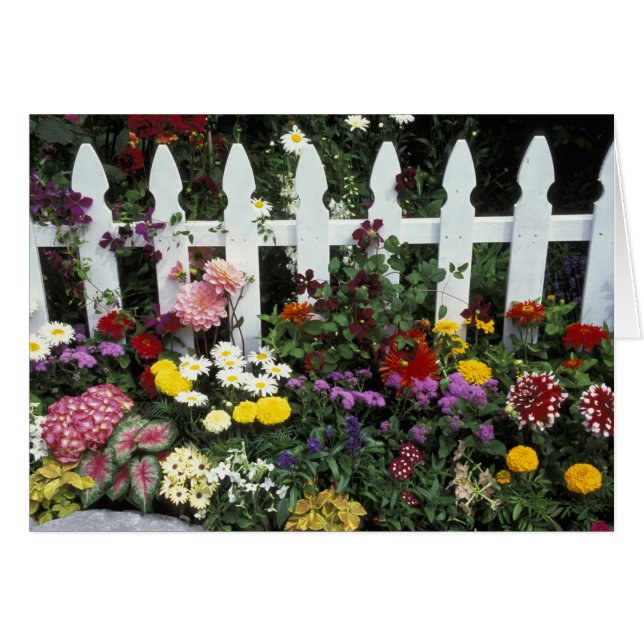 NA, USA, Washington, Sammamish, White Picket (Vorderseite (Horizontal))