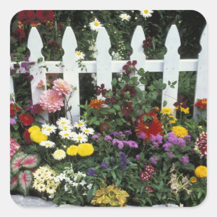 NA, USA, Washington, Sammamish, White Picket Quadratischer Aufkleber